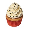 Paillettes comestibles chauve-souris PME – Décorations Halloween pour gâteaux, cupcakes et biscuits