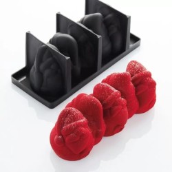 Moule silicone professionnel pour entremets et desserts de fêtes
