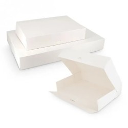 Boîtes plateaux traiteur 43 x 29 x H 6 cm | Pâtiss & Vous