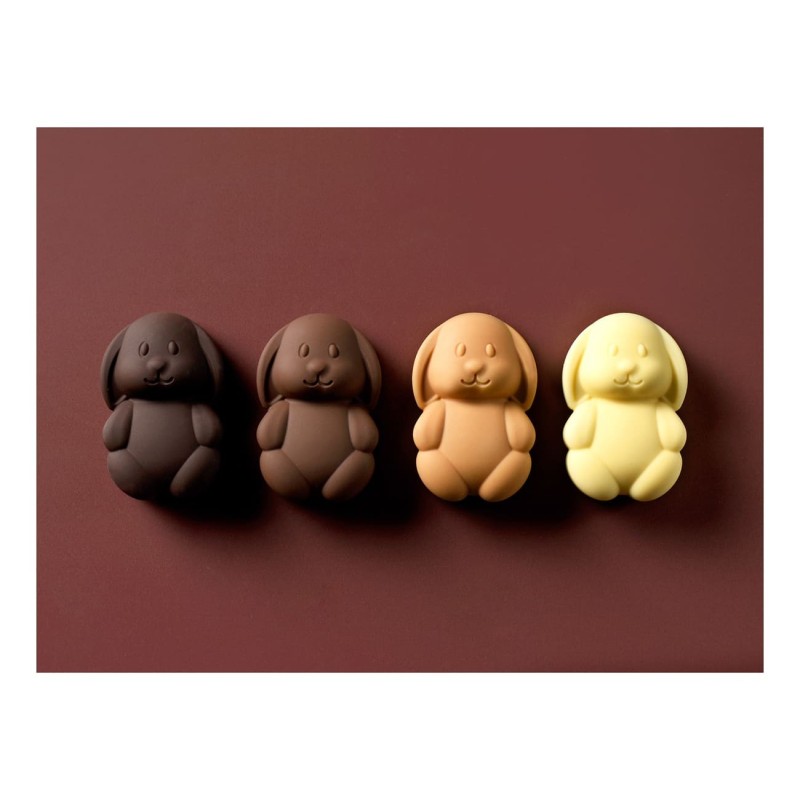 Moule pâtisserie Pâques pour chocolats, entremets et desserts créatifs