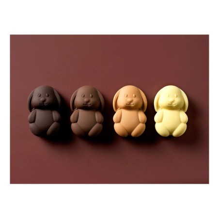 Moule pâtisserie Pâques pour chocolats, entremets et desserts créatifs