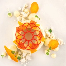 Moule silicone Corona