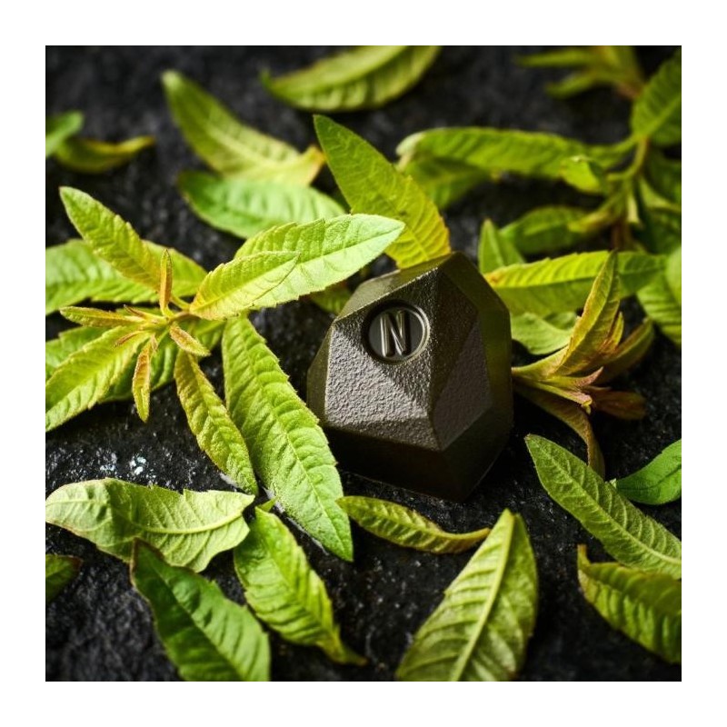 Tadoka Verveine Norohy – Verveine Citronnée Pure à Râper ou à Faire Fondre pour Pâtisserie et Desserts