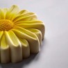 Moule Floris Pavoni – Moule à entremets en silicone professionnel forme marguerite