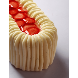 Moule à bûche Silk Pavoni – Moule silicone professionnel pour entremets de Noël modernes
