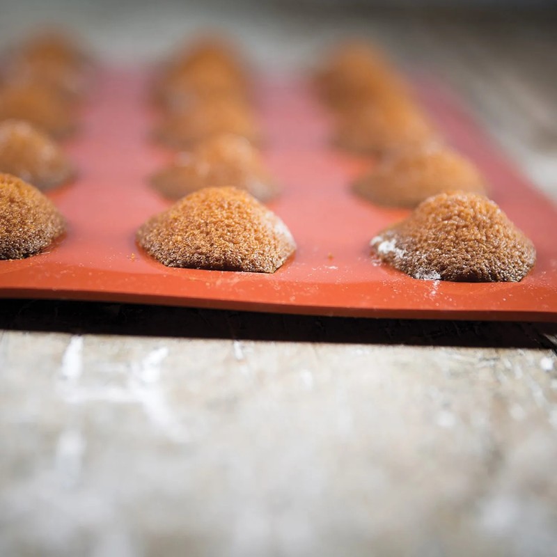 Moule silicone Mini Madeleines x 15