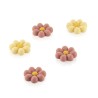 Moule Chocolat Choco Flowers