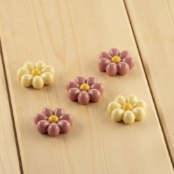 Moule Chocolat Choco Flowers