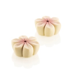 Moule silicone Hana x 6