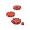 Moule silicone Paradis