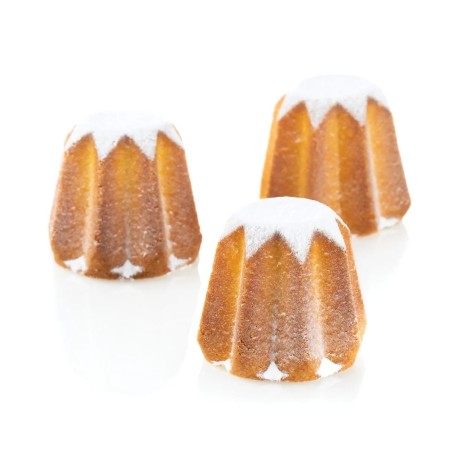 Moule Silicone Pandoro x 6